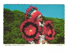 Chief Henry, Cherokee NC vintage postcard unposted