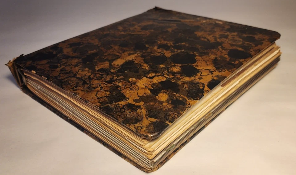 20 世纪 60 年代 CIVIL RIGHTS ACTIVIST ALBUM CORE COFO MISSISPI 农场保护 3 月 — 第 4/4 张图片