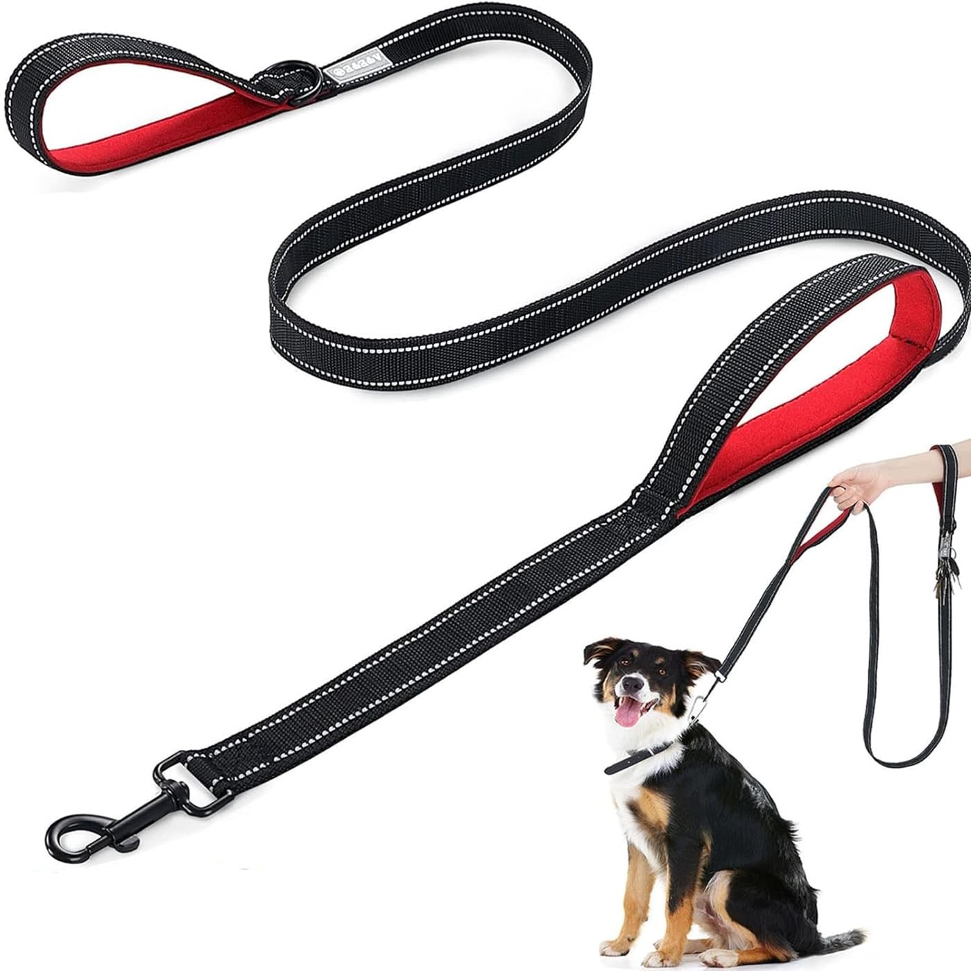 Laisse chien réfléchissante de qualité supérieure 1.8m réglable en nylon