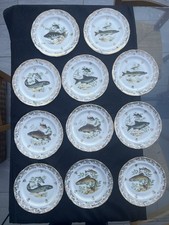 Lot 11 Assiettes Limoges JRS Limousines Ø22cm Poissons Bord Doré