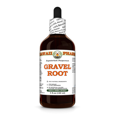 Gravel Root (Eupatorium Purpureum) Glycerite, Dried Root Liquid Extract