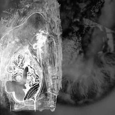 Sonance - Split / Blister the Maw CD 2016 digi noise drone Third-I-Rex