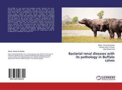 Bacterial renal diseases with its pathology in Buffalo calves Sarfinaz Abd. El-G