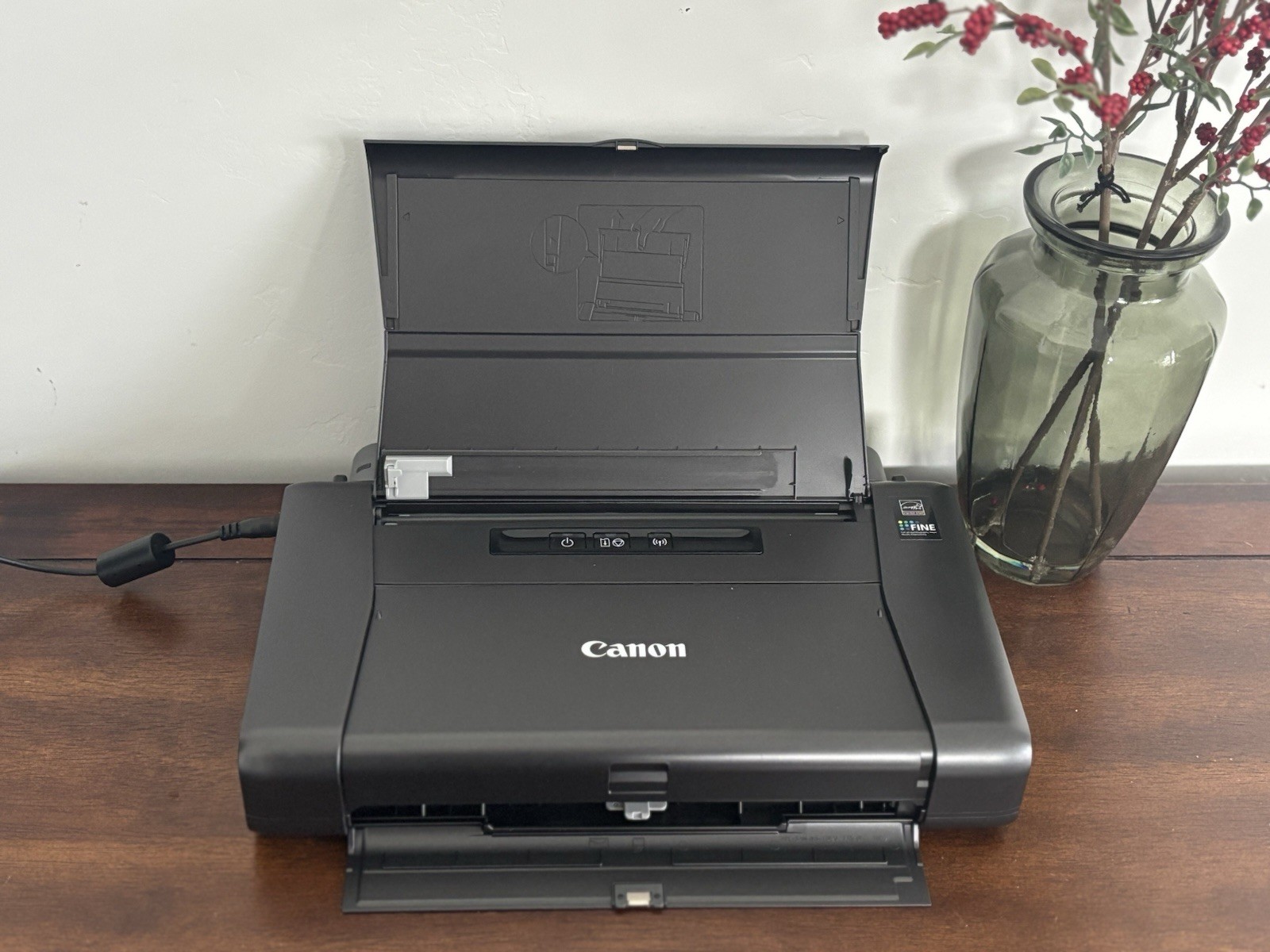 Canon Pixma iP110 Mobile USB Color Inkjet Printer with AC Adapter