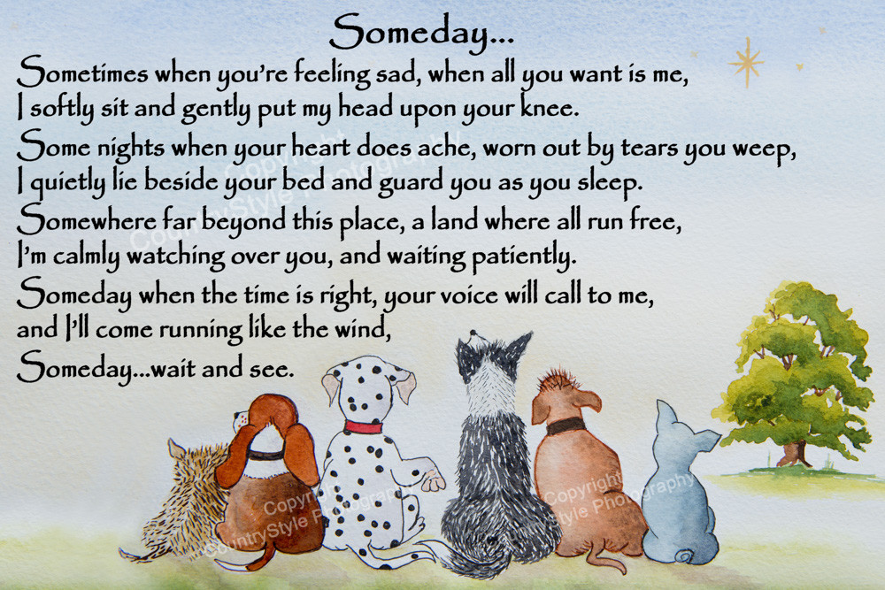 Dog Memorial Rainbow Bridge pet loss Gift collie dalmatian