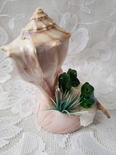Vintage Frog Shell Souvenir Figure at Fort Wilton Beach Florida - Picture 5 of 6