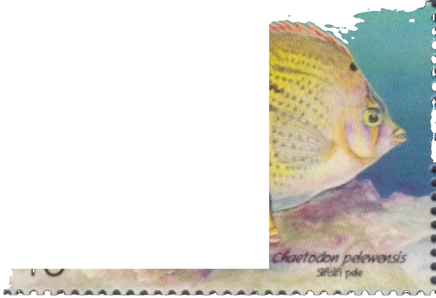 Estampillas Tongan de pescado (1970-presente)