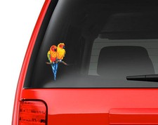 Love Birds Sun Conure Parakeets - Full Color Vinyl Decal for Car, Macbook, ect.