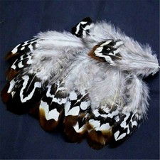 Brown White Reeves Pheasant Body Feathers Plumage Jewelry Crafts 3" 20 Pcs.