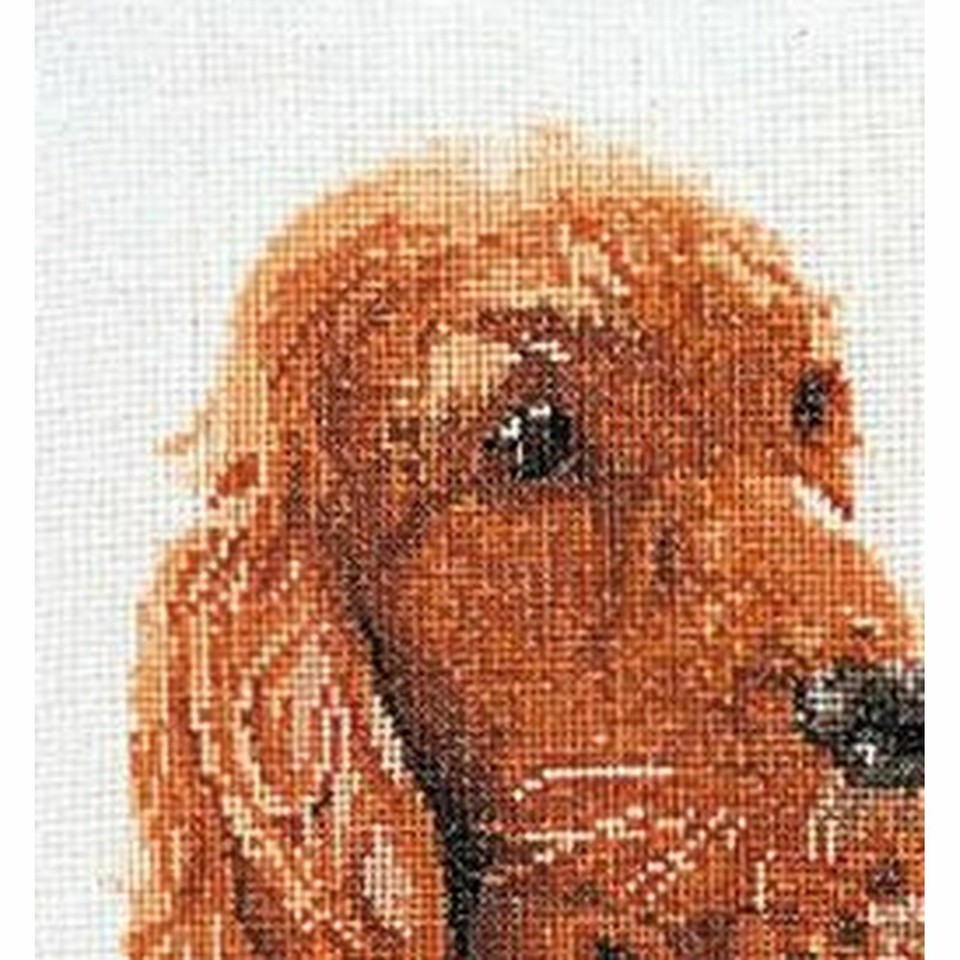 Kit a punto croce Cane Épagneuls 936A thea gouverneur eBay