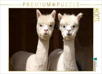 Calvendo Puzzle The Inseparable Alpacas | 1000 Pieces, Finished Size 25.2 × 18.9