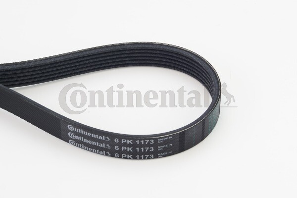 Continental Ctam 6PK1173 Poly-V Keilrippenriemen 6 Rippen LäNge 1173 Mm-image