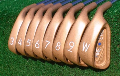   PROFESSIONAL PING IRON RESTORATION SERVICE  For Ping Eye 2 ISI ZING & OTHERS 