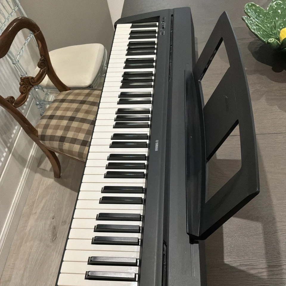Yamaha P-45, photo 4 of 5