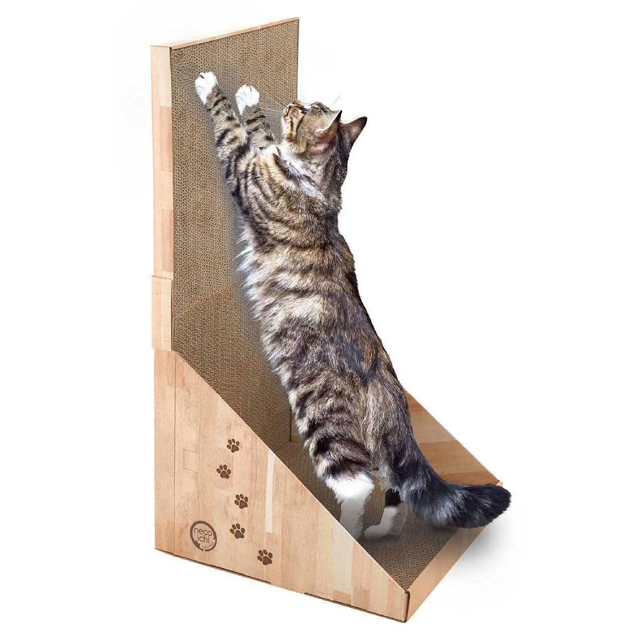 Stretch & Scratch Wall Cat Scratcher Pad for Clawing, Climbing, and Exercise