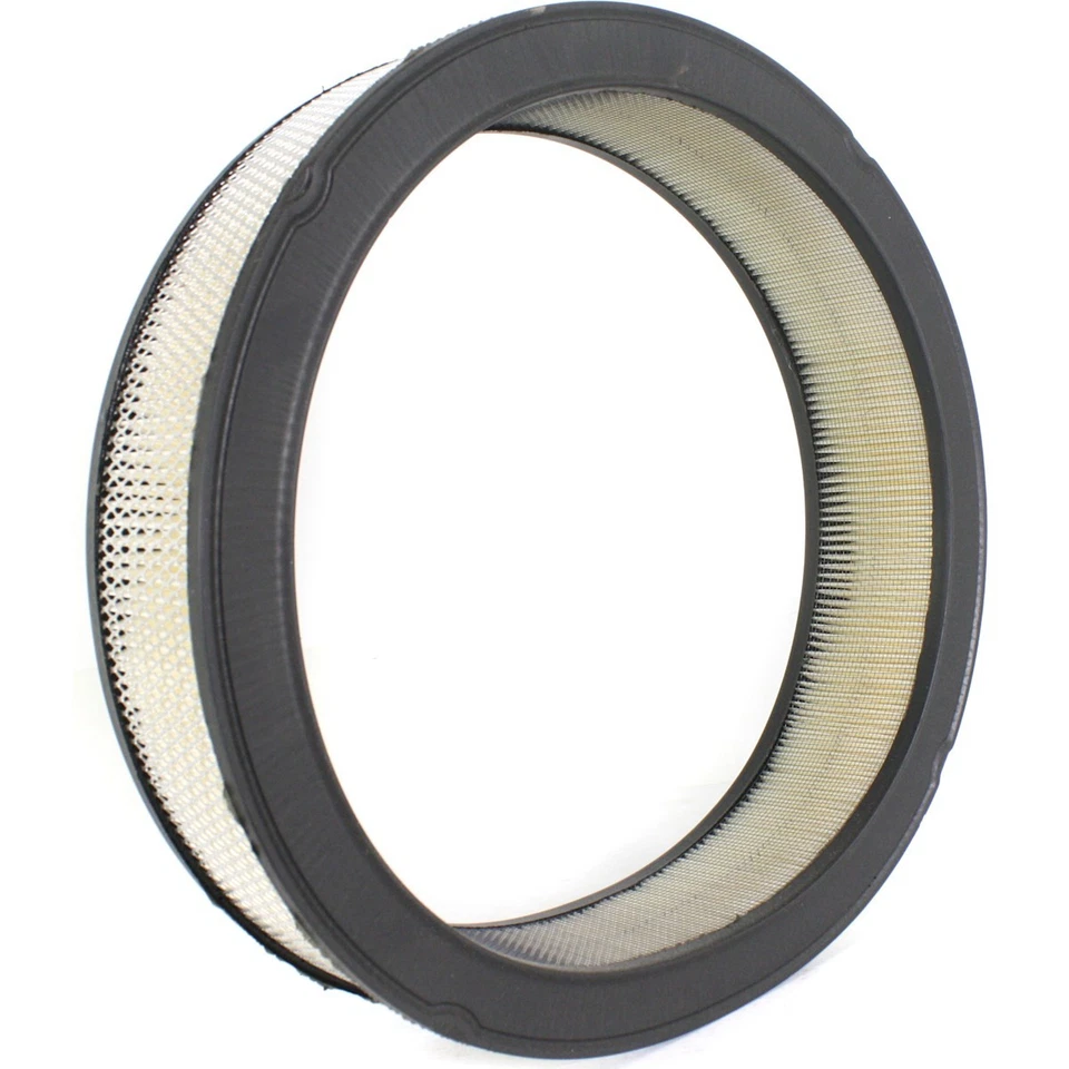 Filtro de aire A212CW AC Delco para Chevy Olds Chevrolet Biscayne Pontiac Laurentian Foto 3 de 4