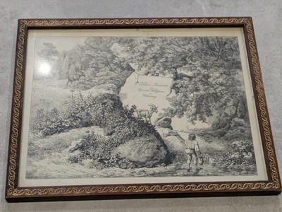 Fein gerahmter antiker Biedermeier Romantik  Druck Conrad Wießner Naturstudien