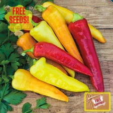 Fresh Banana Pepper Seeds | Pickling Pepper | Heirloom Non-GMO | Vegetable Seeds