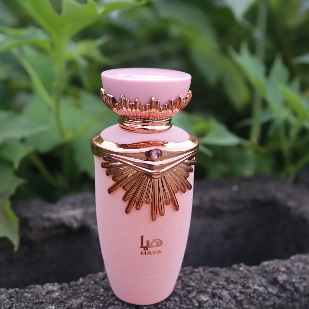 HAYA by LATTAFA EDP 3.4oz (100ml) Spray | eBay