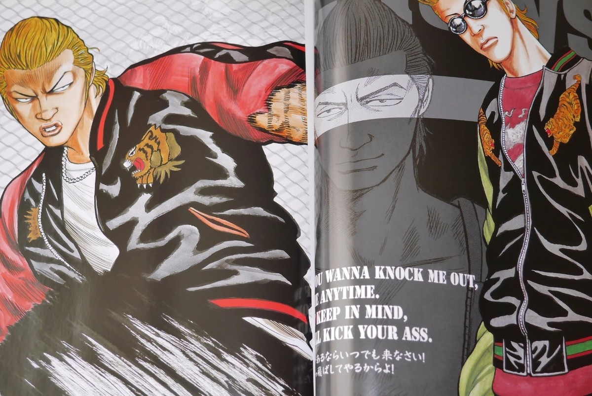 Crows : 完全版 v.1～v.16 CROWS Full version Vol. 1-19 Comics Complete Set Comic | eBay