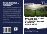 Faktory, Vliyajushhie NA Rezul'taty Deyatel'nosti Malyh I Srednih Predpriyatij
