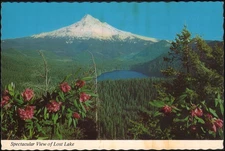 unused PPC, Mt. Hood, OR