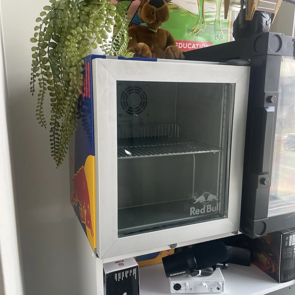 red bull cooler products for sale | eBay