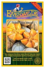 50 Honey Rock Melon Seeds - Everwilde Farms Mylar Seed Packet