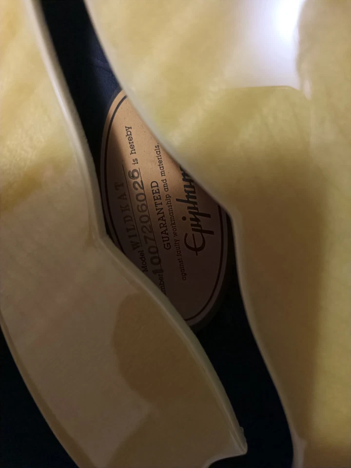 Epiphone Wiildcat - image 4 of 4