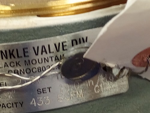 Kunkle 215V-H01AQE-10.0 Iron Vacuum Relief Valve 2 in Npt, 33 CFM, - Picture 7 of 17
