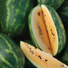 Tendersweet Orange Watermelon Seeds 20 Ct USA Fruit 15-30 lbs USA FREE SHIPPING