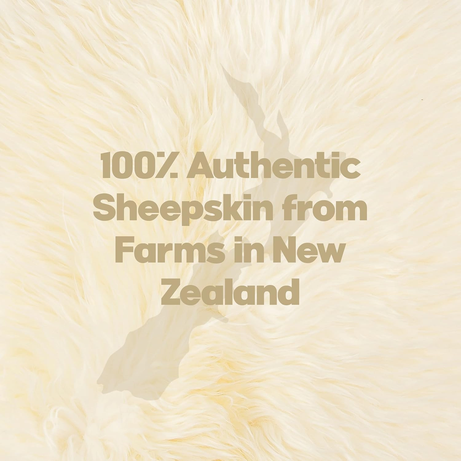 Set of 4, Natural Sheepskin Chairpad with Non-Slip Backing | 100% Real New Zeala