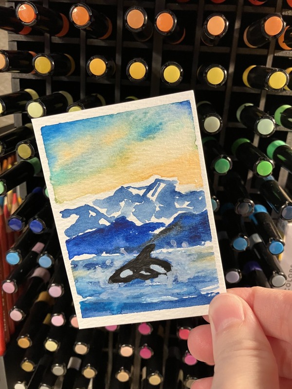 aceo original painting, orca, killer whale, watercolor,2.5 x 3.5, keris creation