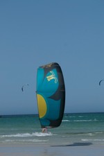 JN Kite, Prima Donna, 7m, 2026
