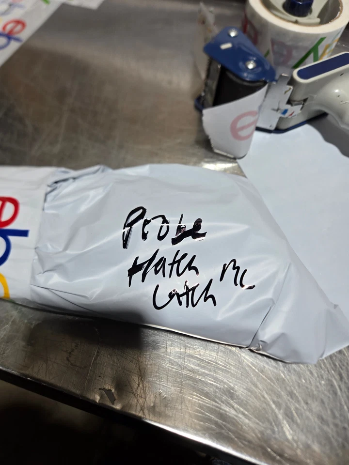 93-97 Ford Probe GT GTS escotilla elevadora maletero trasero pestillo bloqueo actuador OEM Foto 3 de 3