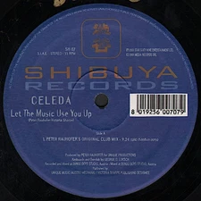 Celeda - Let The Music Use You Up, 2x12", (Vinyl)