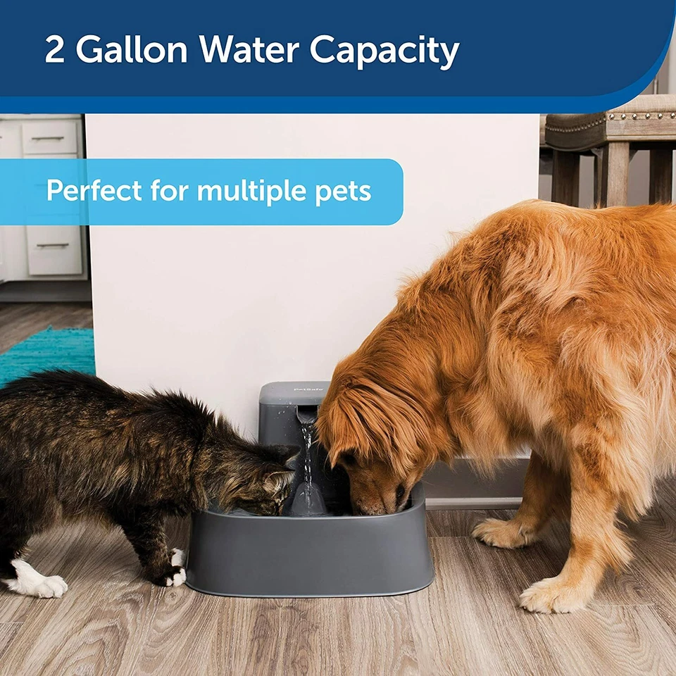 Fuente grande para mascotas PetSafe PWW00-16468 Drinkwell 2 galones - apta para lavavajillas Foto 4 de 4