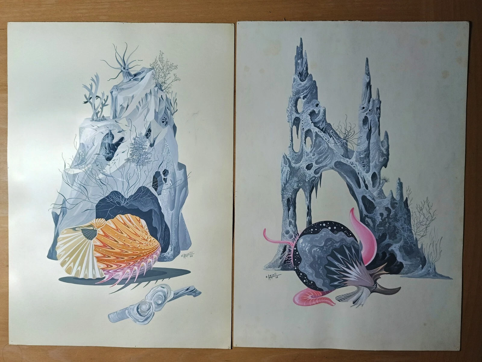 Foto 1 di 5