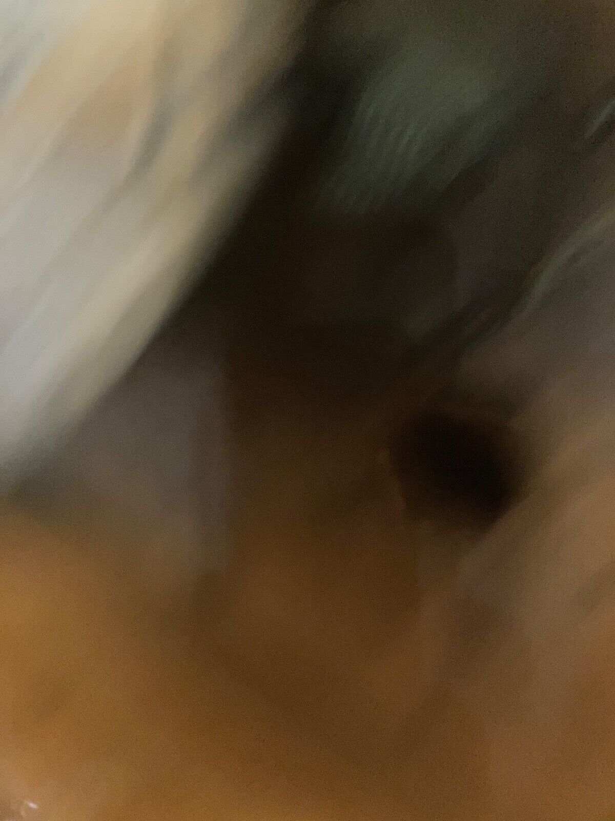 Picture 9 of 17