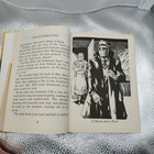 Foto 7 di 8