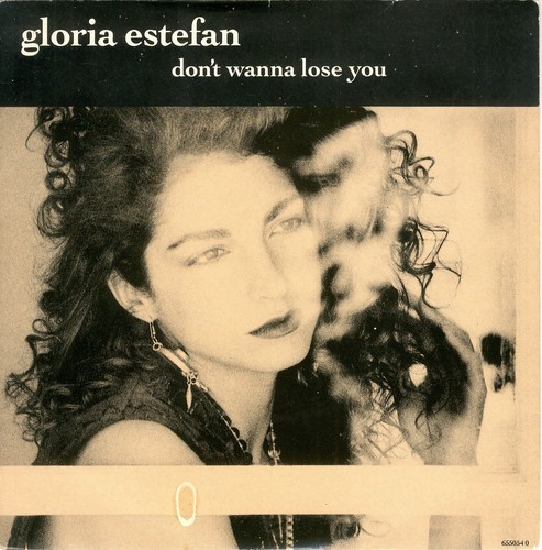 7 Zoll Vinyl Single - Gloria Estefan - Don't Wanna Lose You 1989 (Sehr guter Zustand + bis EX)
