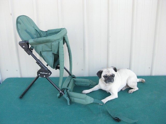 baby trend backpack carrier