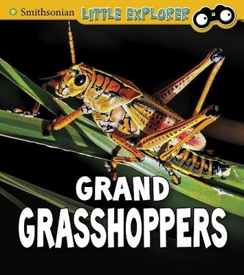 Megan Cooley Peterson Grand Grasshoppers (Taschenbuch) Insect Explorer