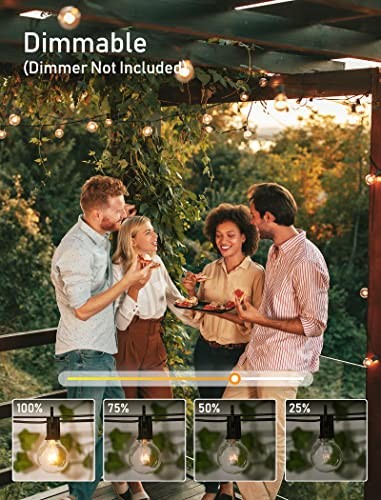 Outdoor String Light 50Feet G40 Globe Patio Lights with 52 Edison Glass Bulbs - Picture 4 of 5