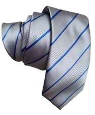 Scott Allan Collection Men's Necktie LUXURY Tie