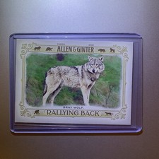2021 Allen & Ginter Rallying Back Gray Wolf #RB-1