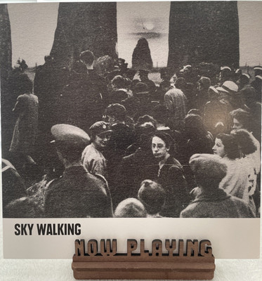 Sky Walking - Sky Walking Self Titled LP Like New Free Shipping