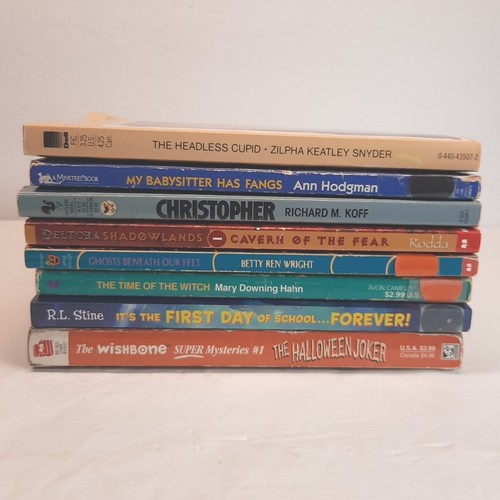 Junge Erwachsene Horror/Halloween Buch Set R.L. Stine & verschiedene Autoren kostenloser Versand - Bild 3 von 20