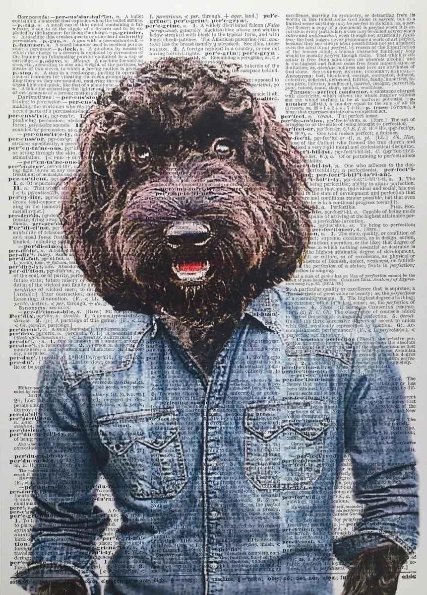 All hotsell black cockapoo
