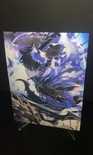 Solo Leveling Sung Jin Woo Image Changing 3D Holographic Lenticular Poster